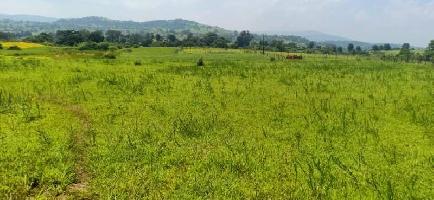 Agricultural Land for Sale in Sudhagad, Raigad