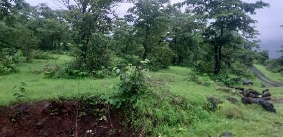  Agricultural Land for Sale in Chiplun, Ratnagiri
