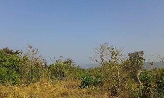  Commercial Land for Sale in Ganpatipule, Ratnagiri
