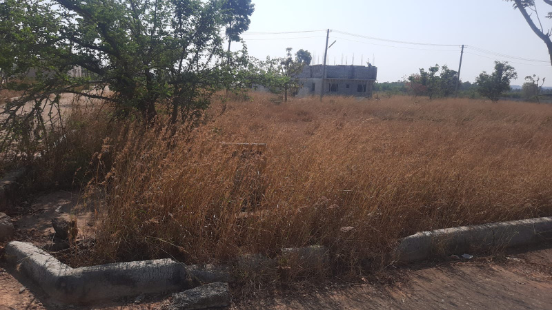  Residential Plot 1564 Sq.ft. for Sale in Anekal, Bangalore