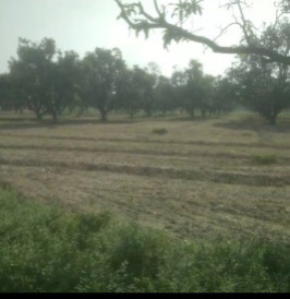 Agricultural Land for Sale in Mohanlalganj, Lucknow