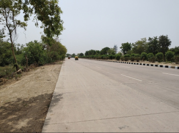  Agricultural Land for Sale in Akbarpur, Kanpur Dehat