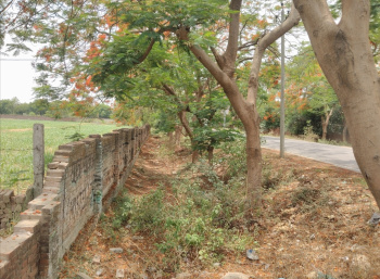  Agricultural Land for Sale in Akbarpur, Kanpur Dehat