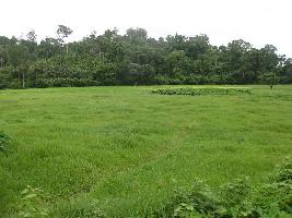  Agricultural Land for Sale in Diglipur, Andaman