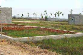 Industrial Land 5000 Sq. Meter for Sale in Nani Daman