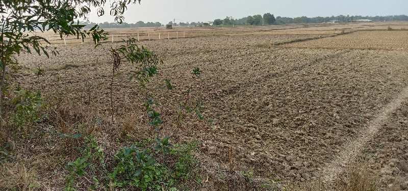 farm land for sale in bolpur, birbhum