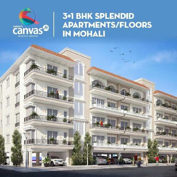 4 BHK Builder Floor 1984 Sq.ft. for Sale in Sector 85 Mohali