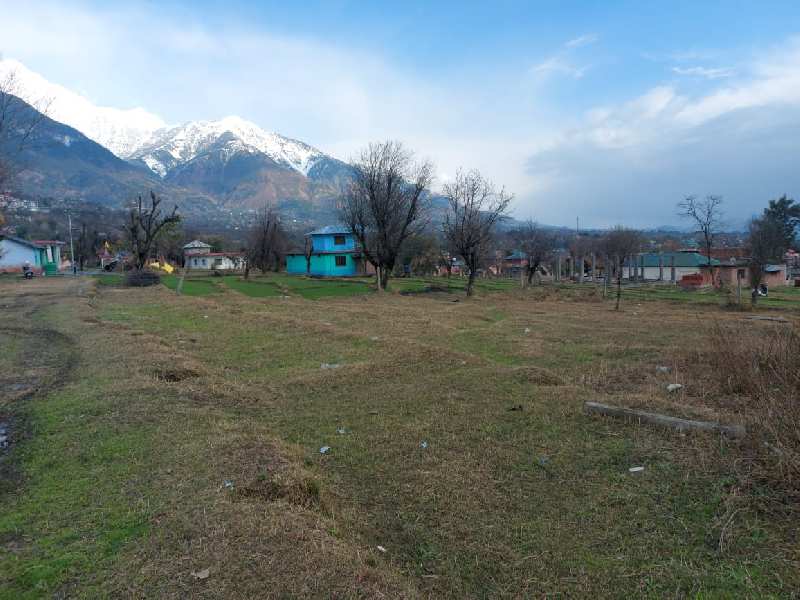 4840-sq-yards-residential-plot-for-sale-in-dari-dharamsala-rei1057223