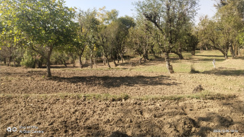  Agricultural Land for Sale in Gopalpur, Ganjam