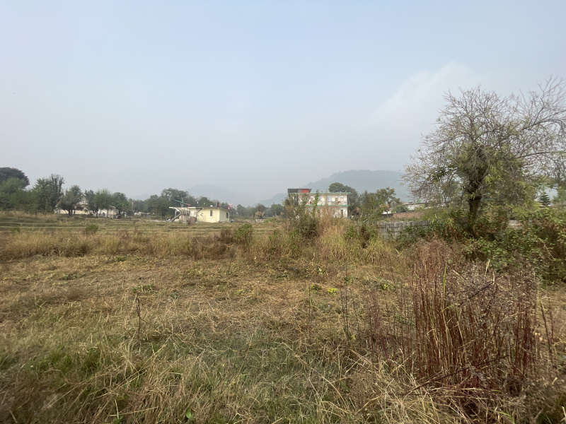  Residential Plot 60 Marla for Sale in Barol, Dharamshala