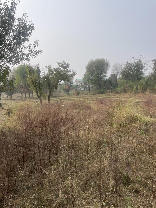  Residential Plot 60 Marla for Sale in Barol, Dharamshala