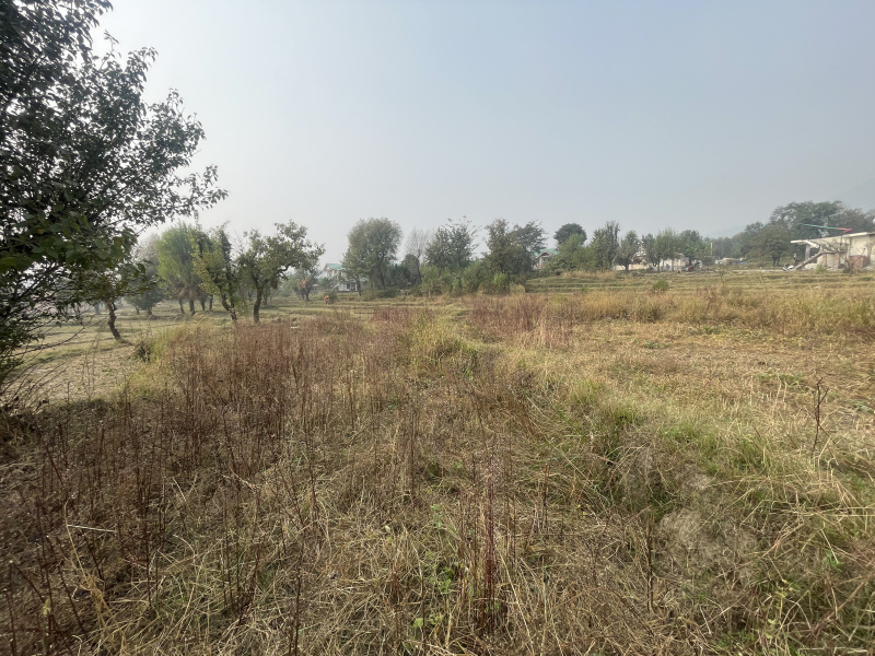  Residential Plot 60 Marla for Sale in Barol, Dharamshala