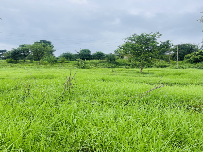  Residential Plot 23 Marla for Sale in Ram Nagar, Dharamshala