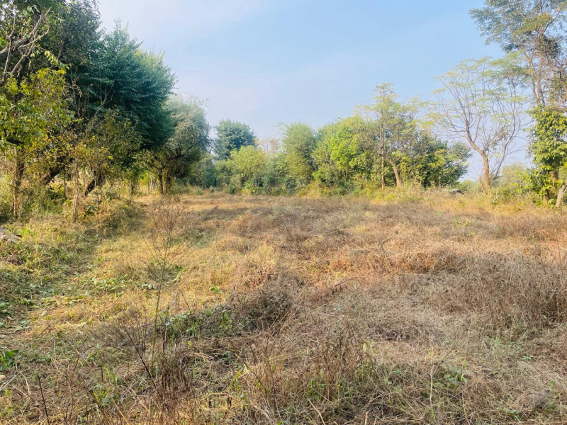 20 Marla Residential Plot for Sale in Sidhpur, Dharamsala
