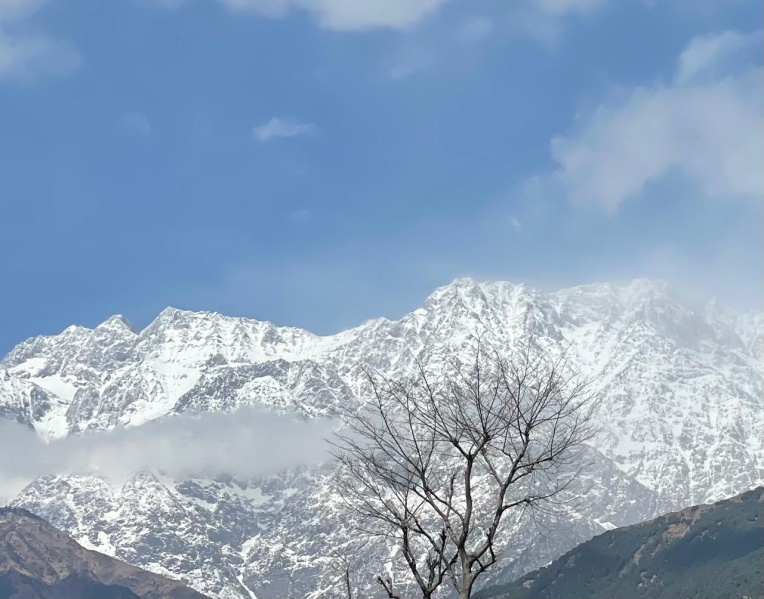  Residential Plot 25 Marla for Sale in Sidhbari, Dharamsala