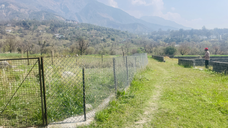  14 Marla Residential Plot for Sale in Rakkar, Dharamshala