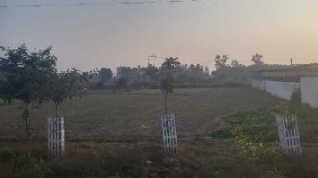  Agricultural Land for Rent in Khurja, Bulandshahr