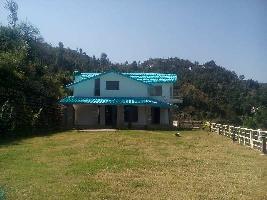 3 BHK House for Sale in Sherwani, Nainital