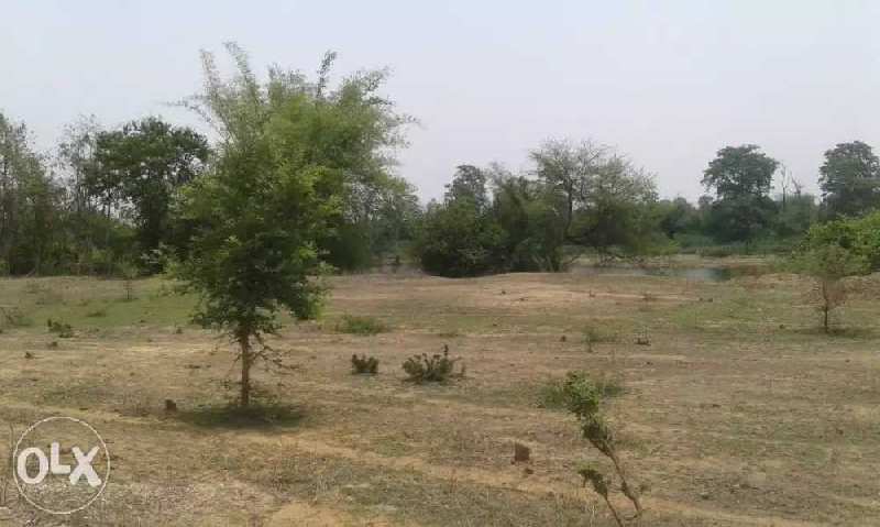 Agricultural Land 42 Acre for Sale in Amanaka, Raipur