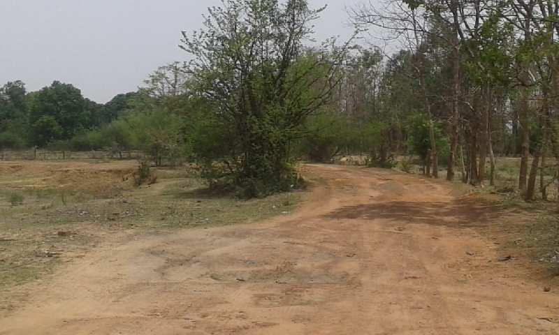 Agricultural Land 32 Acre for Sale in Borsi, Durg