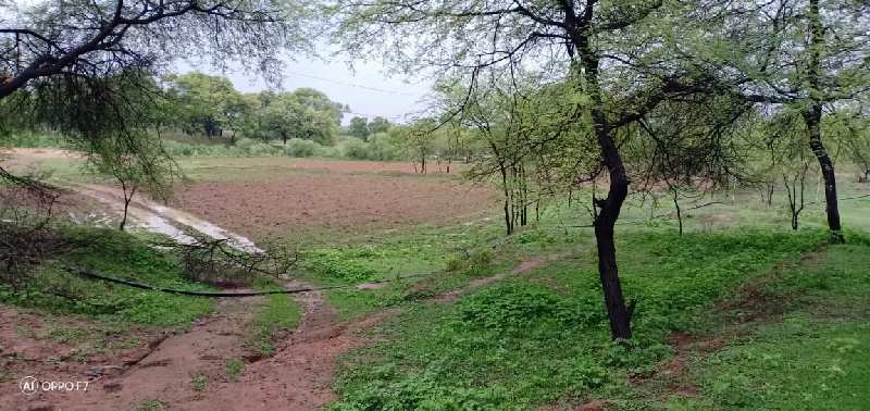 Agricultural Land 2 Acre for Sale in Kohka, Durg