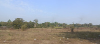  Agricultural Land for Sale in Panoli GIDC, Bharuch