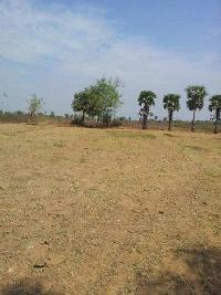  Agricultural Land for Sale in Pardi, Vapi