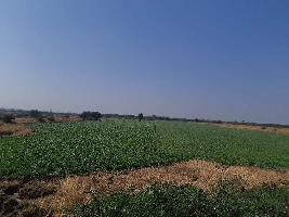  Agricultural Land for Sale in Dahej, Bharuch