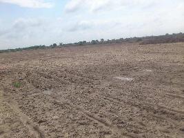  Agricultural Land for Sale in Jalalpore, Navsari