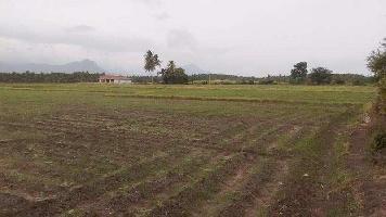  Agricultural Land for Sale in Kevadiya, Narmada
