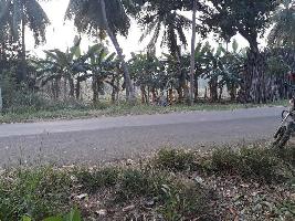  Industrial Land for Sale in Tanuku, West Godavari