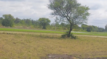  Agricultural Land for Sale in Mysore Road, Bangalore