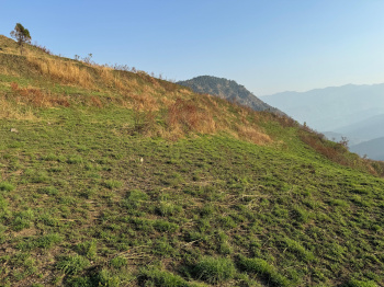  Agricultural Land for Sale in Tehri, Tehri Garhwal