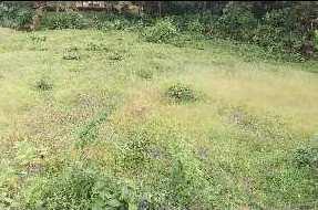  Residential Plot for Sale in Ankola, Uttara Kannada