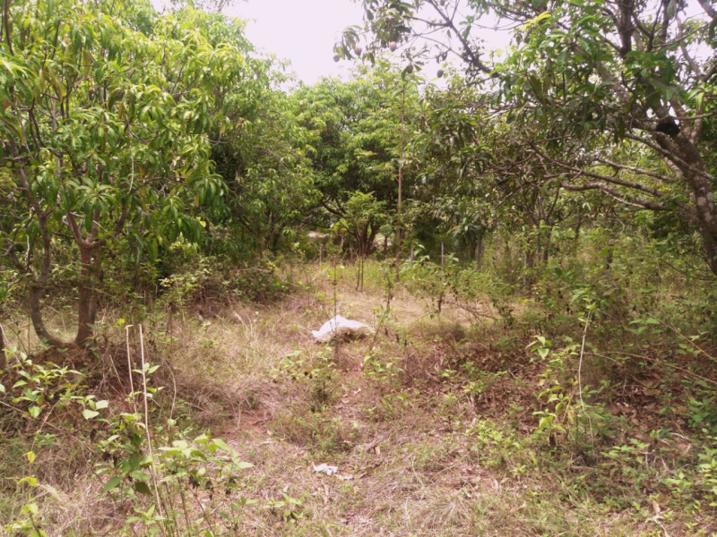  Residential Plot 4 Cent for Sale in Kakkayur, Palakkad