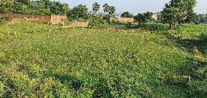  Residential Plot for Sale in Kundalpur, Champaran, Champaran