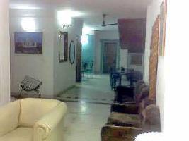 2 BHK House for Rent in Sector 14 Gurgaon
