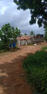  Agricultural Land for Sale in Kadur, Chikmagalur
