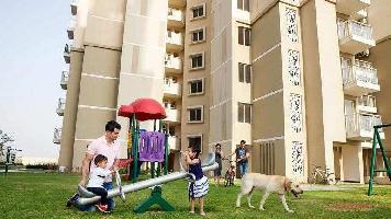 3 BHK Flat for Sale in Sector 108 Gurgaon