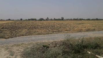  Agricultural Land for Sale in Chakia, Chandauli
