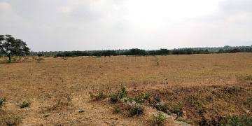 Agricultural Land 6 Acre for Rent in Kuntloor, Hyderabad