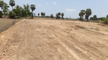  Agricultural Land for Sale in Kalavai, Vellore