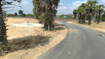  Agricultural Land for Sale in Kalavai, Vellore