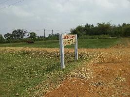  Residential Plot for Sale in Kumbakonam, Thanjavur