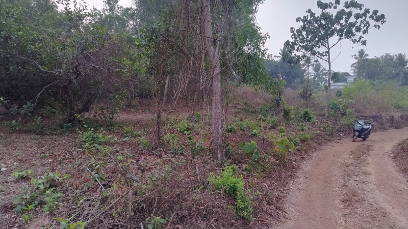  Agricultural Land 1 Acre for Sale in Koodali, Kannur