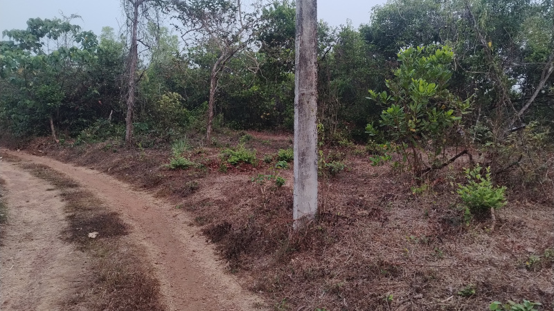  Agricultural Land 1 Acre for Sale in Koodali, Kannur