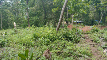  Residential Plot for Sale in Taliparamba, Kannur