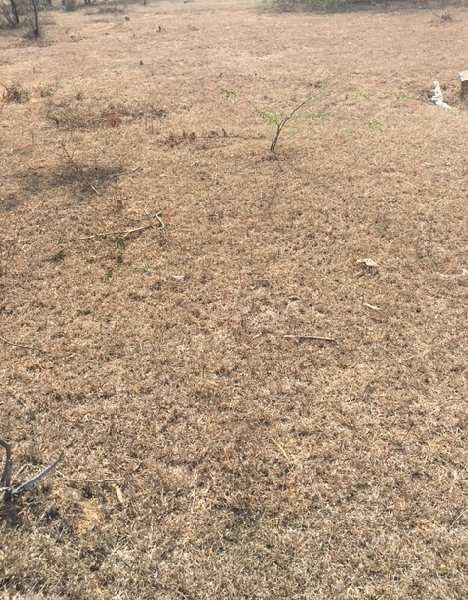  Residential Plot 821 Sq. Yards for Sale in Adikmet, Hyderabad