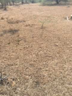  Residential Plot 821 Sq. Yards for Sale in Adikmet, Hyderabad