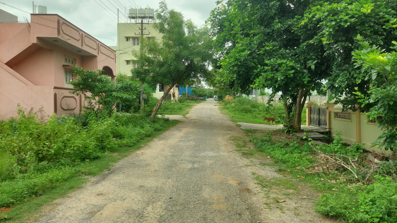  Residential Plot 1200 Sq.ft. for Sale in Shivamogga, Shimoga